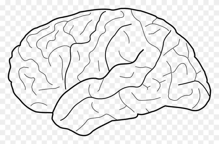 1280x812 Blank Brain Diagram, Gray, World Of Warcraft HD PNG Download