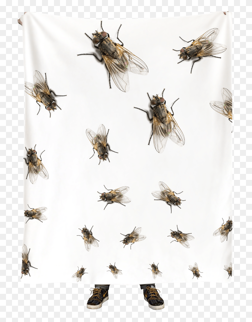 727x1014 Blanket Honeybee, Apidae, Bee, Insect HD PNG Download