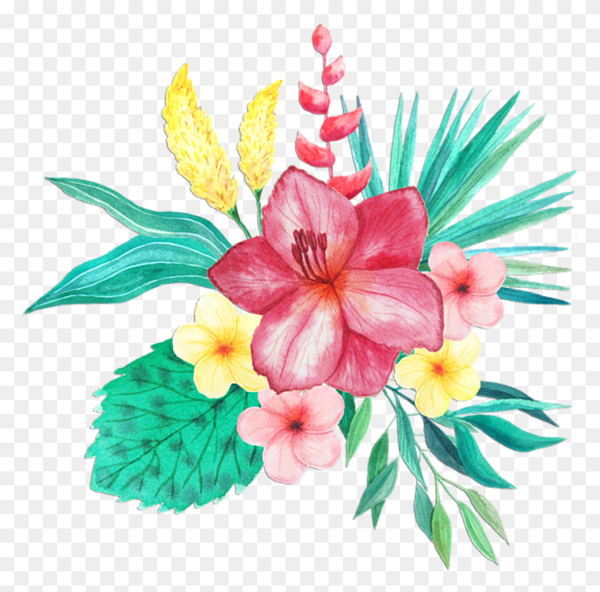 913x901 Bleed Area May Not Be Visible, Plant, Hibiscus, Flower HD PNG Download
