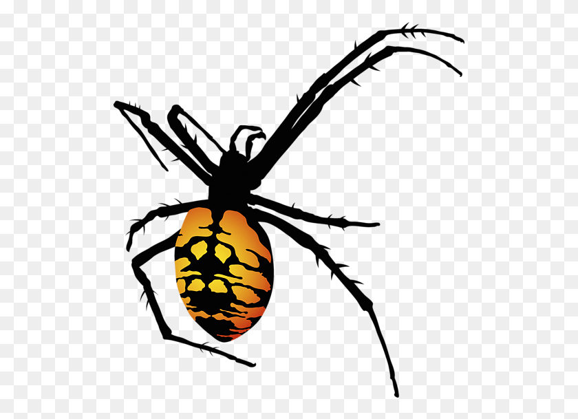 513x549 Bleed Area May Not Be Visible Black And Yellow Spider, Garden Spider, Insect, Invertebrate HD PNG Download