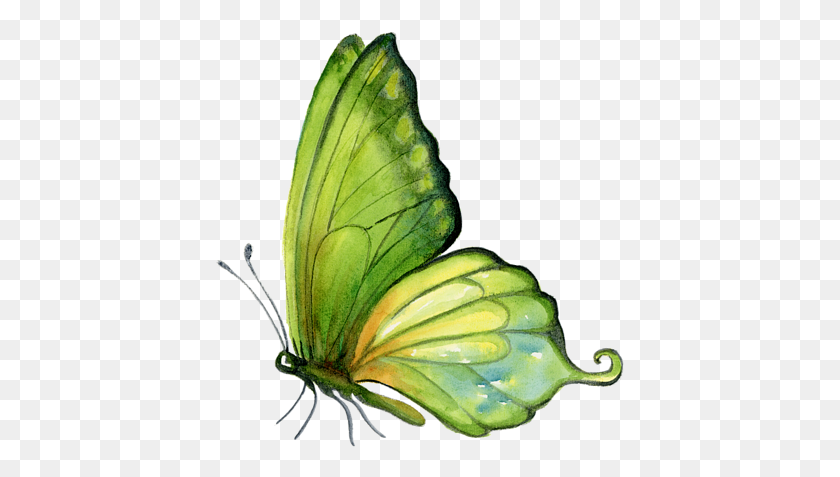 409x417 Bleed Area May Not Be Visible Green Butterfly Watercolor, Insect, Invertebrate, Animal HD PNG Download