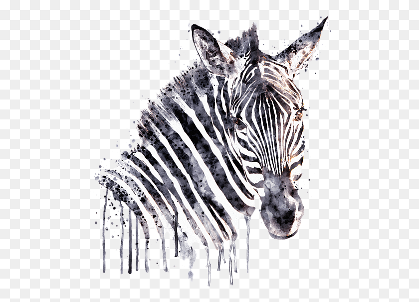 491x547 Bleed Area May Not Be Visible Zebra Heads, Wildlife, Mammal, Animal HD PNG Download