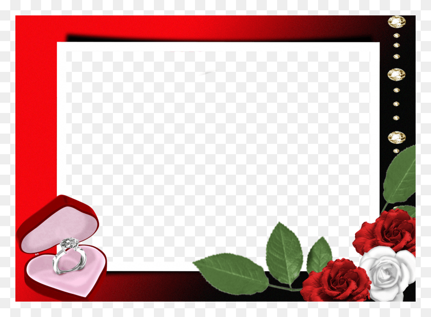1600x1143 Blindada Por Deus Moldura Para Foto Romantica, Rose, Flower, Plant HD PNG Download