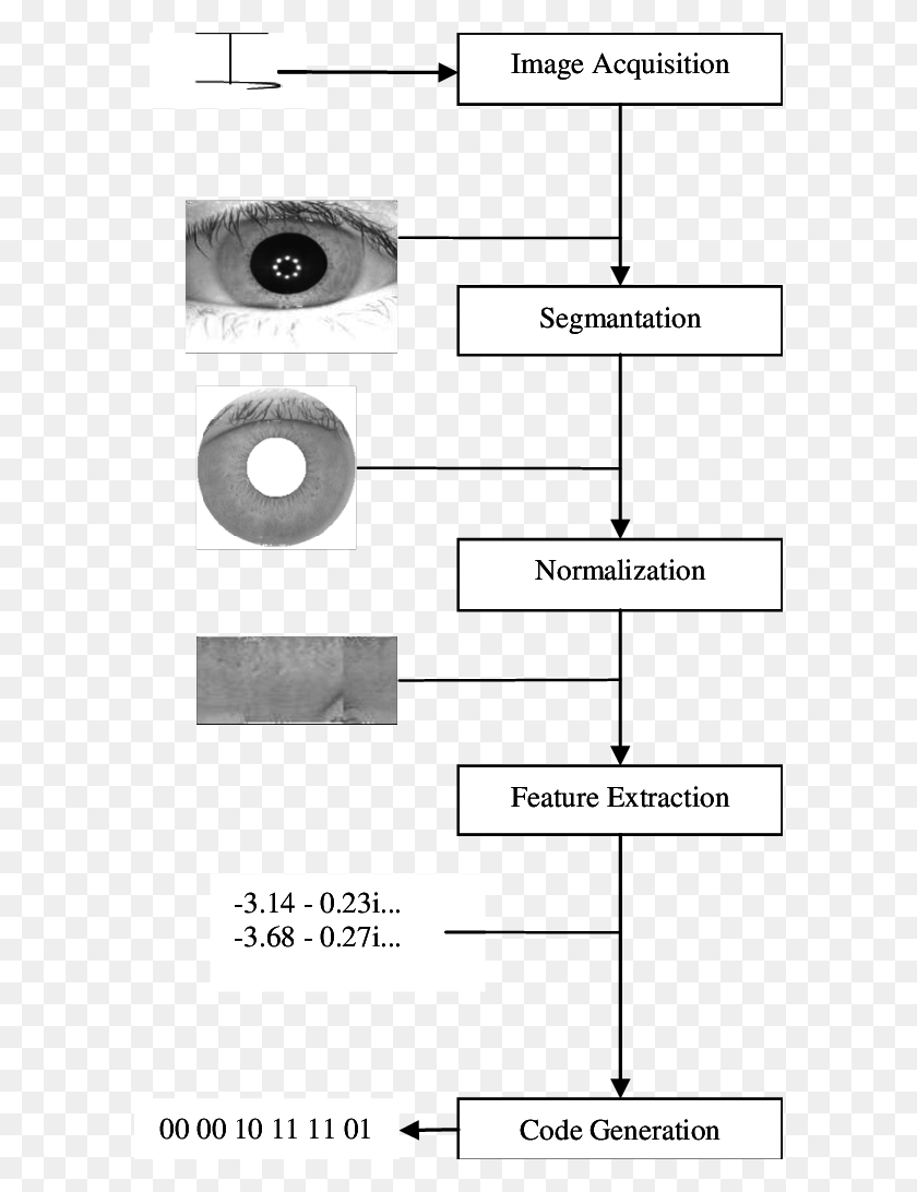 594x1032 Descargar Png Diagrama De Bloques De Un Sistema De Reconocimiento De Iris Círculo, Texto, Papel, Cara Hd Png