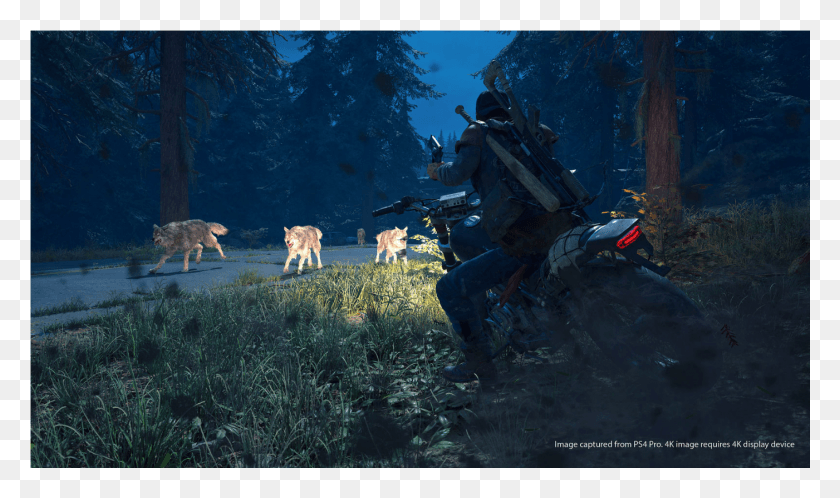1401x788 Blog The Release Date Of Days Gone Has Been Delayed Days Gone Infected Animals, Person, Human, Cow HD PNG Download