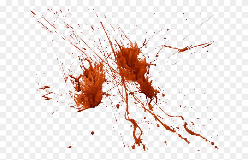 640x483 Blood 016 Blood, Plant, Leaf, Graphics HD PNG Download