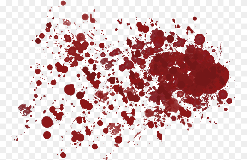 767x544 Blood Clip Art, Flower, Petal, Plant, Stain PNG