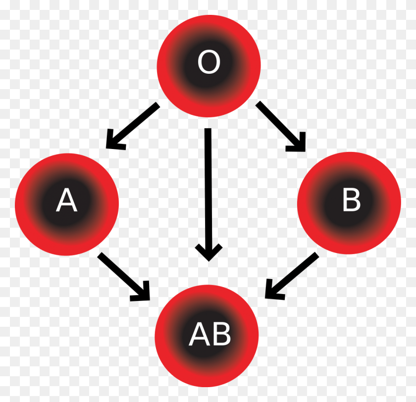 1062x1024 Blood Compatibility Four Blood Types, Number, Symbol, Text HD PNG Download