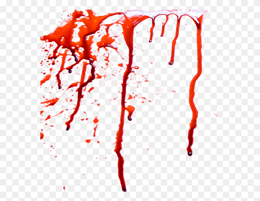 582x590 Blood Image Blood, Animal, Sea Life, Invertebrate HD PNG Download