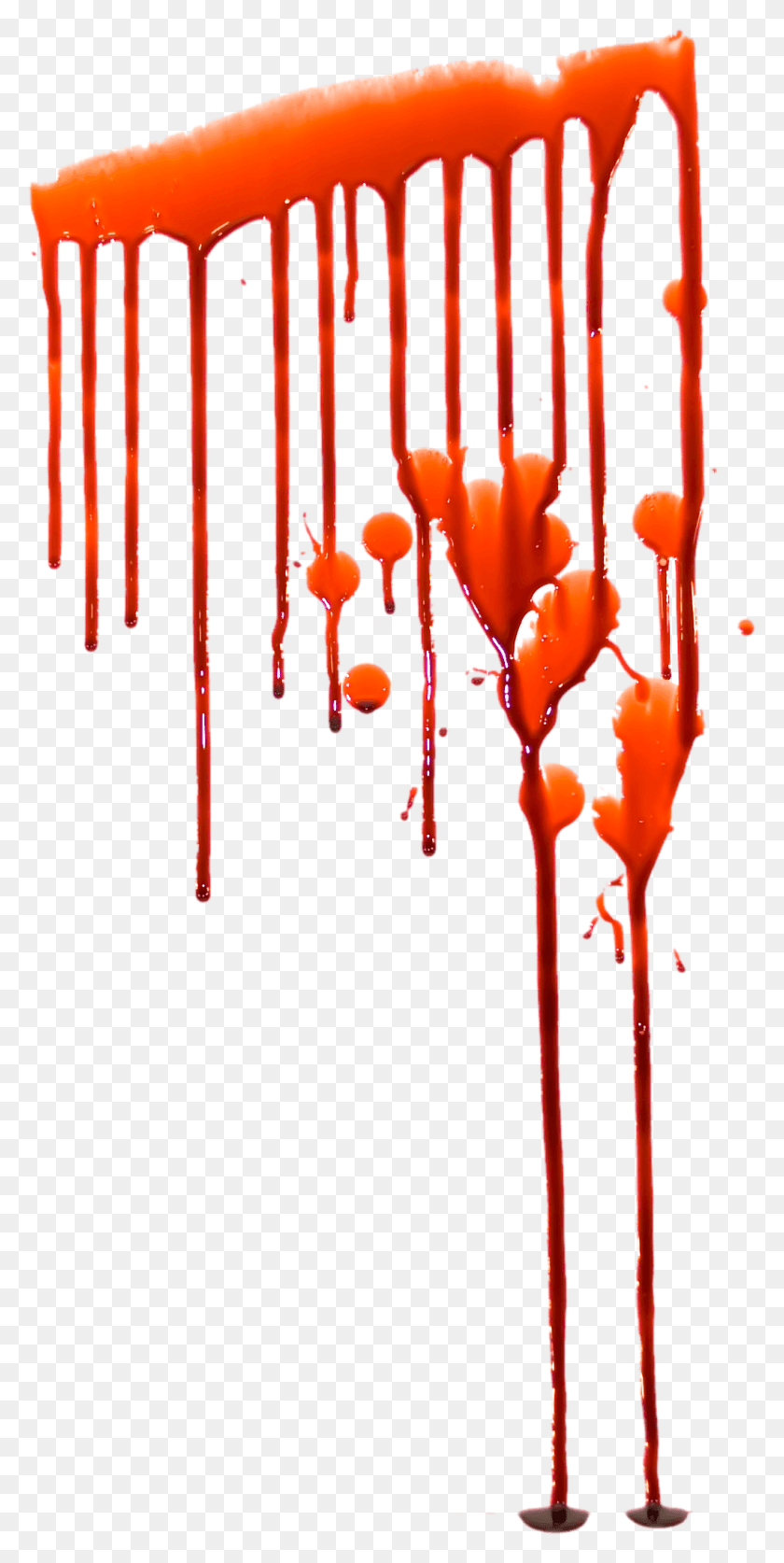 1023x2118 Blood Images Free Blood Splashes Editing For Picsart, Anther, Flower, Plant HD PNG Download
