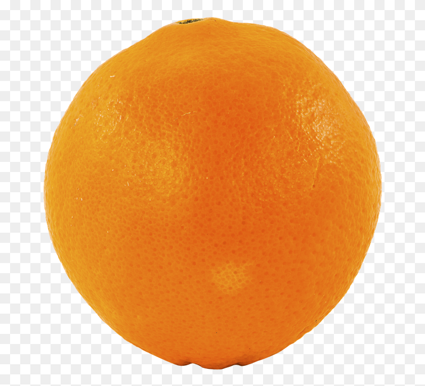 676x703 Blood Orange, Citrus Fruit, Fruit, Plant HD PNG Download
