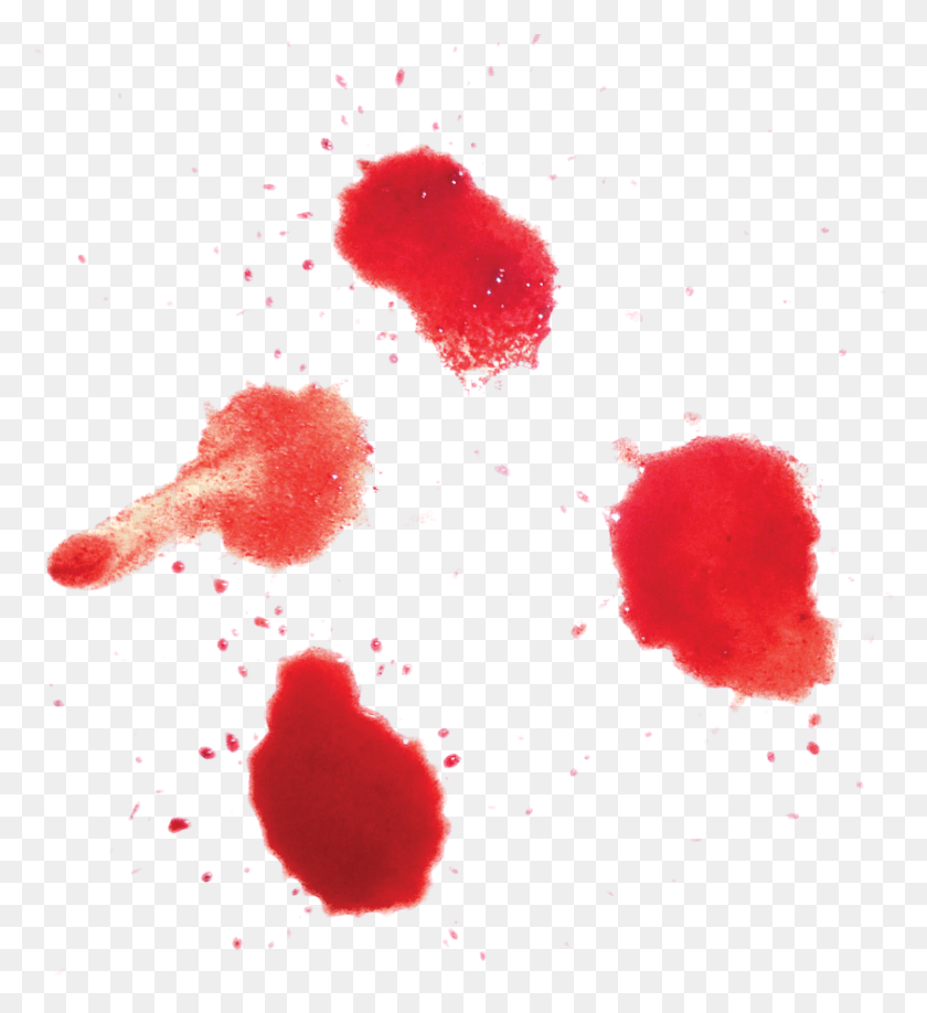 841x926 Blood Tumblr Blood Tumblr Портативная Сетевая Графика, Пятно, Роза, Цветок Png Скачать