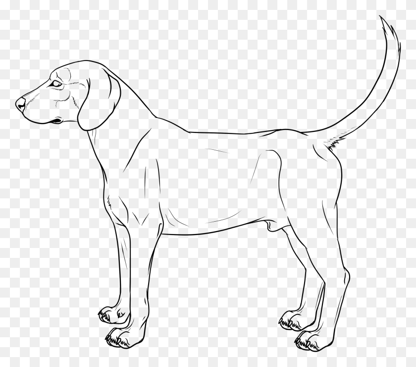 1818x1585 Bloodhound Drawing For Free On Mbtskoudsalg Line Art, Gray, World Of Warcraft HD PNG Download