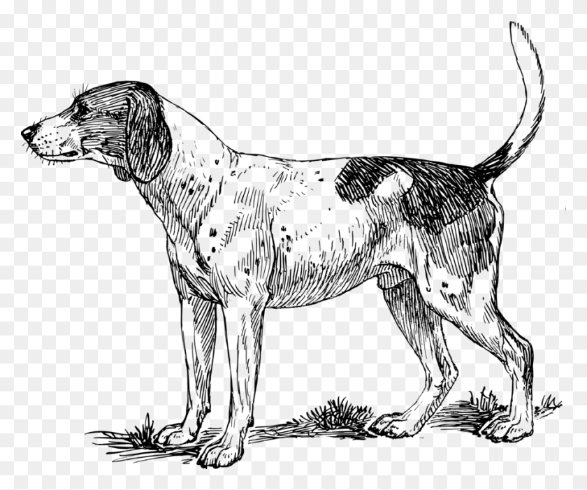 912x750 Bloodhound Drawing Red Hound Dog Hound Dog Clipart, Gray, World Of Warcraft HD PNG Download