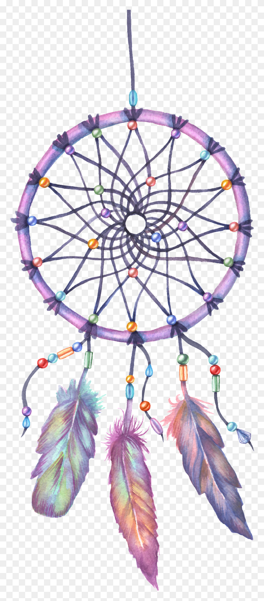836x1982 Bloody Feather Transparent Decorative, Chandelier, Lamp, Hoop HD PNG Download