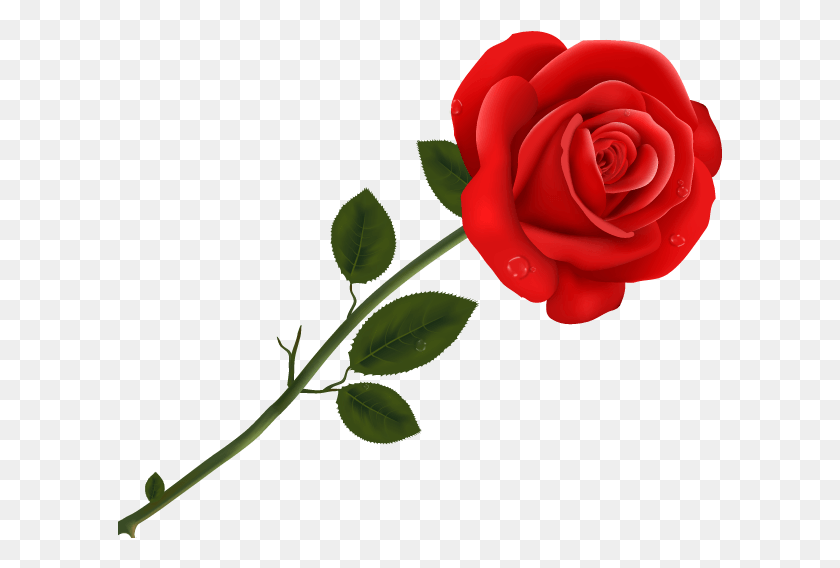605x508 Цветочная Рамка Цветочная Рамка Цветы Белый Букет С Днем ​​Розы Пожелания, Цветок, Растение, Цветение Hd Png Скачать