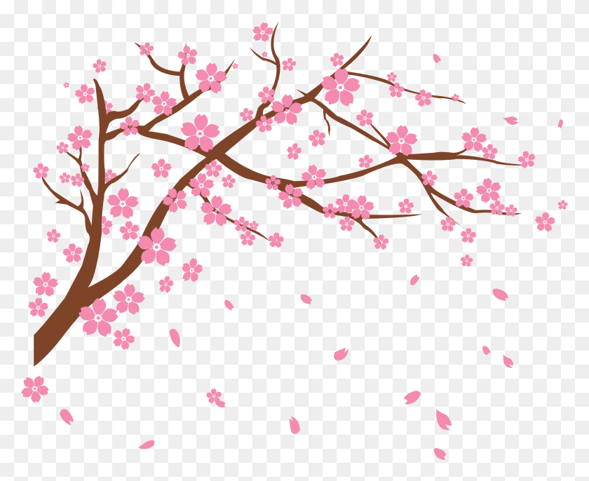 2783x2236 Blossom Clip Art Transprent Free Vector Cherry Blossom, Pattern, Plant, Flower HD PNG Download
