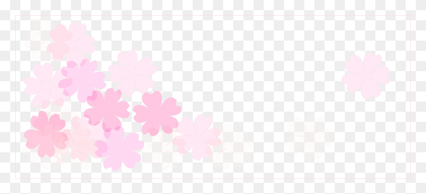 2500x1033 Blossom Transparent Image Jasmine, Graphics, Floral Design HD PNG Download