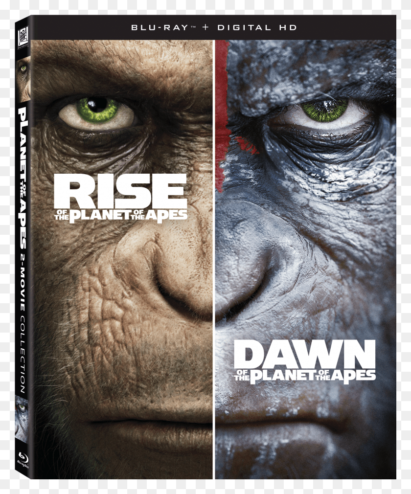1676x2043 Descargar Png Blu Ray Ocard Planet Of The Apes 2 Movie Collection, Ape, Wildlife, Mammal Hd Png