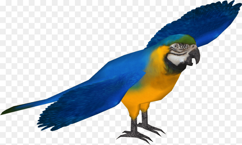 Blue And Gold Macaw Blue Macaw, Animal, Bird, Fish, Parrot Clipart PNG