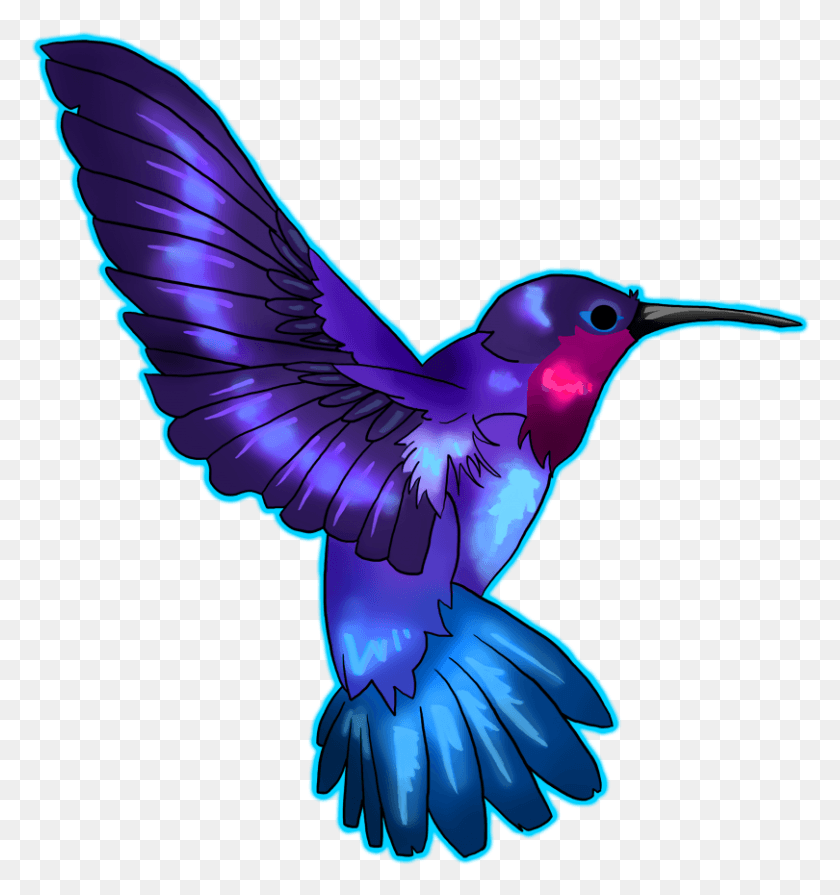 810x868 Blue And Purple Hummingbirds, Jay, Bird, Animal HD PNG Download