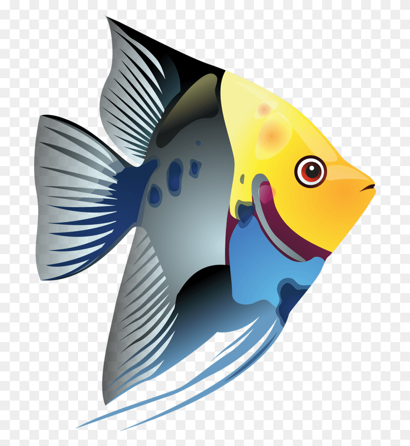 700x853 Синий Ангел Рыба Тропическая Рыба Клипарт, Животное, Птица, Морская Жизнь Hd Png Скачать