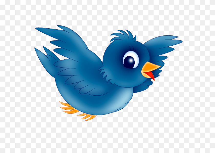 Blue Bird, Animal, Beak, Jay, Fish Transparent PNG