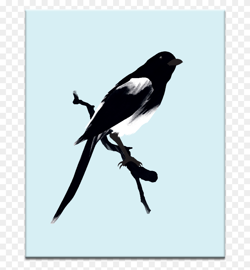 682x849 Blue Bird Eurasian Magpie, Bird, Animal, Blackbird HD PNG Download
