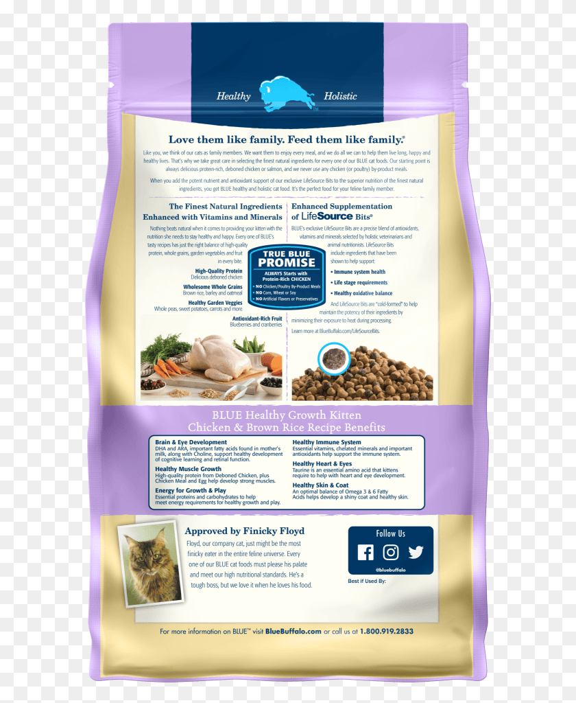 593x964 Blue Buffalo Healthy Growth Kitten Chicken And Brown Blue Buffalo Co. Ltd., Advertisement, Poster, Flyer HD PNG Download