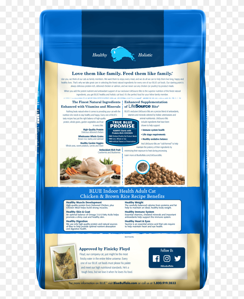 595x969 Blue Buffalo Indoor Health Chicken And Brown Rice Recipe Dog Food, Advertisement, Flyer, Poster HD PNG Download