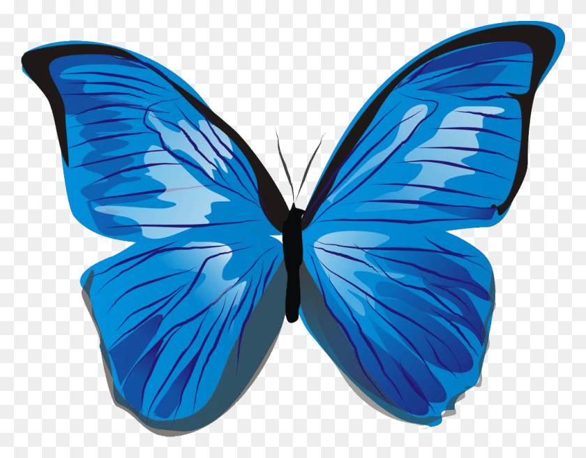 1022x781 Голубые Бабочки Голубая Бабочка Клипарт, Насекомое, Беспозвоночное, Животное Hd Png Скачать