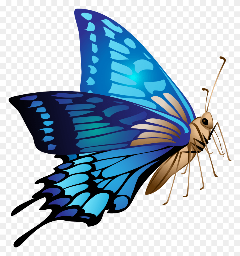 7374x7899 Blue Butterfly, Butterfly, Insect, Invertebrate HD PNG Download