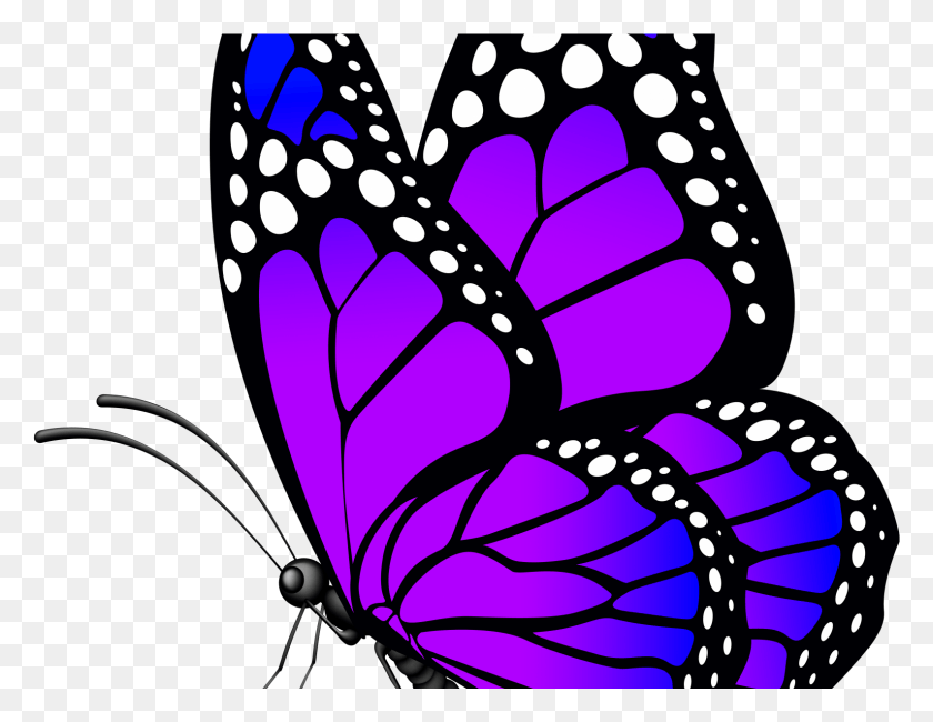 1587x1201 Blue Butterfly Transparent Background, Purple, Graphics HD PNG Download