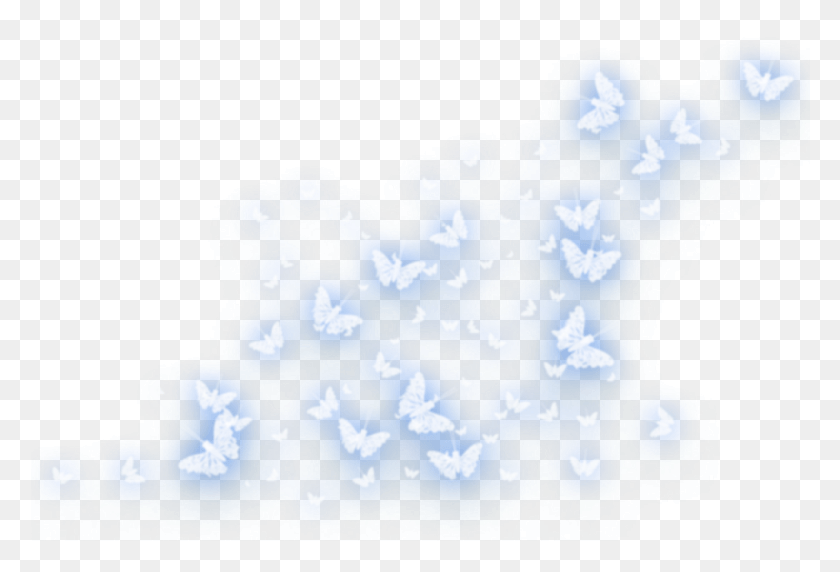 1025x674 Blue Butterfly White Overlay Azul Mariposa Maroposaazul Arkaplan Fonlar, Symbol, Star Symbol, Land HD PNG Download
