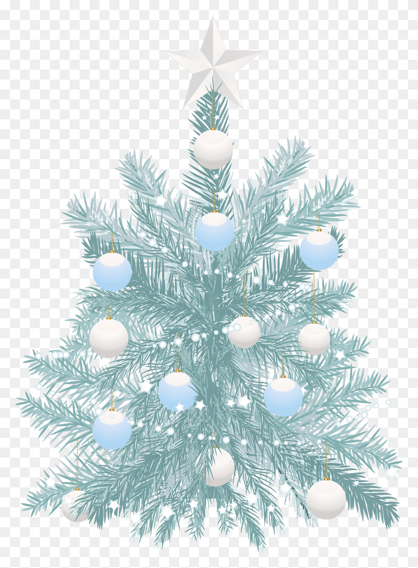 3563x4947 Blue Christmas Tree HD PNG Download