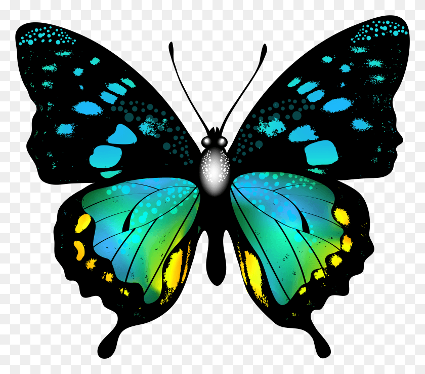 7059x6140 Blue Colorful Butterfly Clip Art Image Graphics Real Colourful Butterfly HD PNG Download