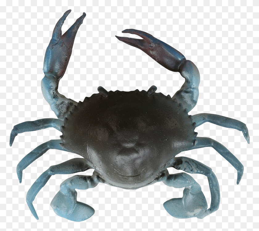 1823x1609 Синий Краб 414434 Savage Gear Crab, Еда, Морская Жизнь, Животное Png Скачать
