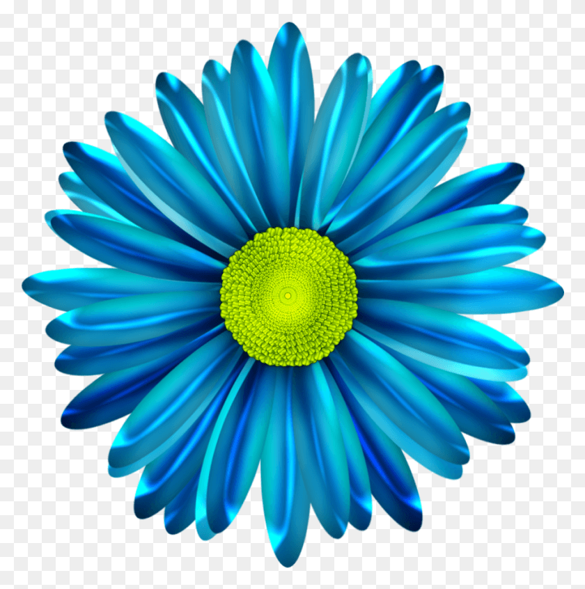 907x914 Цветок Голубой Ромашки, Растение, Ромашки, Цветение Hd Png Скачать