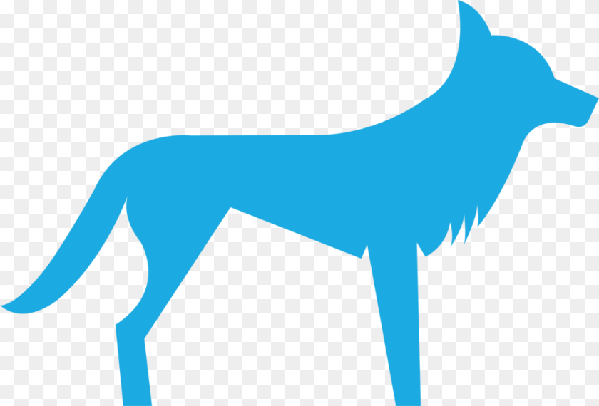 1000x678 Blue Dingo Download Dog Catches Something, Animal, Coyote, Mammal, Person Transparent PNG