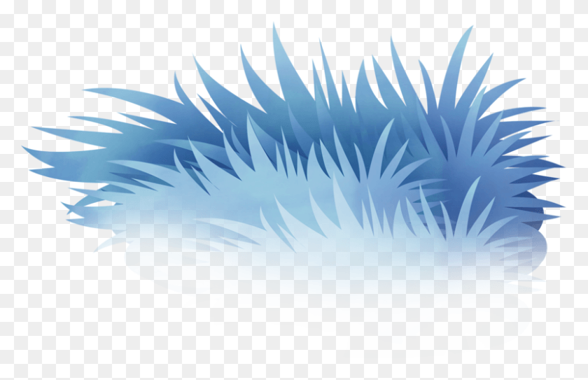 800x496 Blue Drawing Design Drawing, Animal, Bird, Minecraft HD PNG Download