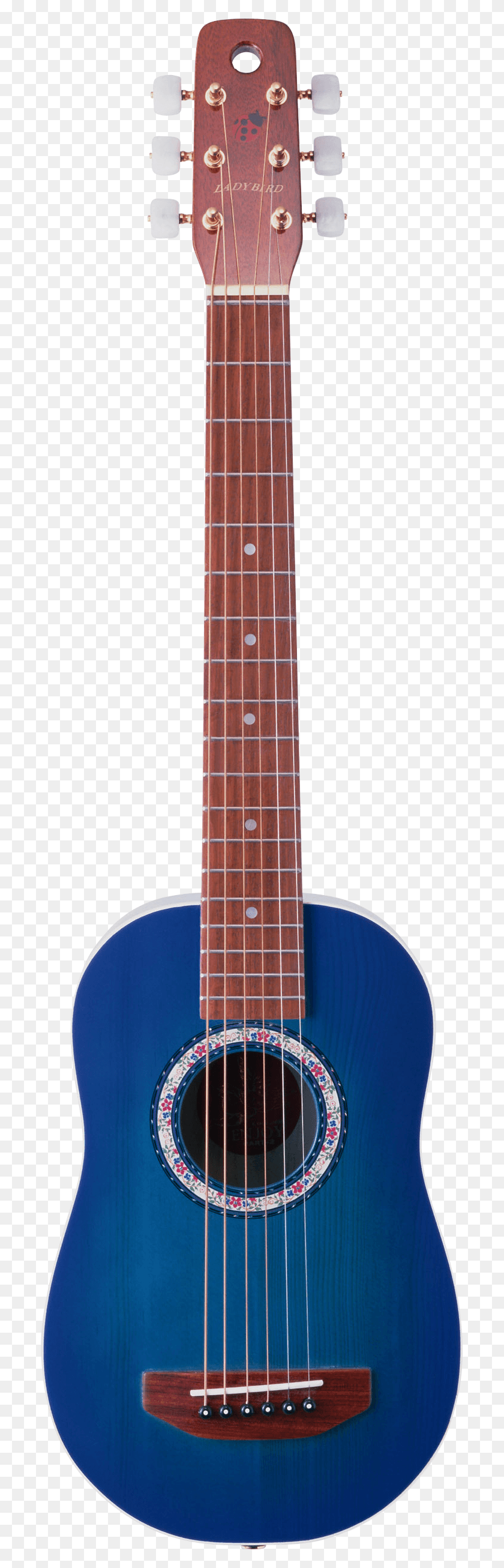 704x2552 Blue Electric Guitar Image Guitar, Leisure Activities, Musical Instrument, Bass Guitar HD PNG Download