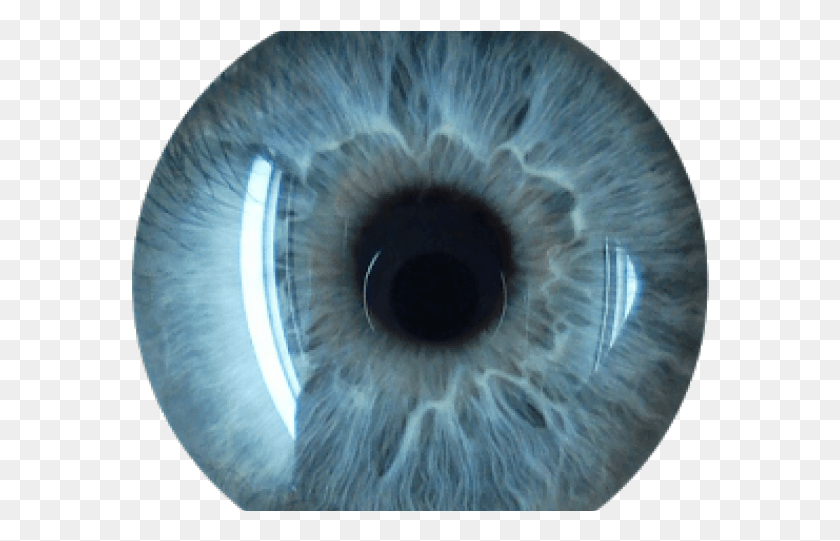578x481 Blue Eyes Clipart Eye Lens Eye Lens Blue, X-ray, Medical Imaging X-ray Film, Ct Scan HD PNG Download
