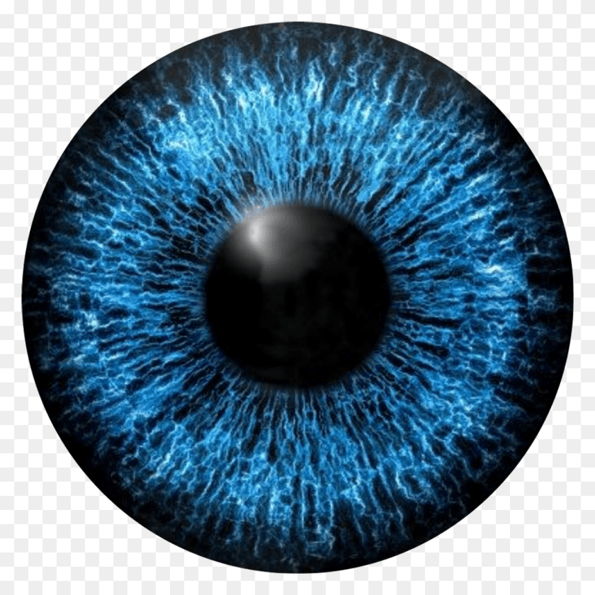 1024x1024 Голубые Глаза Глаза Стикер От Раджона Ахмеда Ирис Глаз Вектор, Орнамент, Узор, Ковер Hd Png Скачать