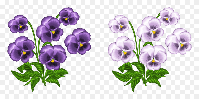 1247x577 Blue Flower Crown Clip Art Violets, Plant, Flower, Blossom HD PNG Download