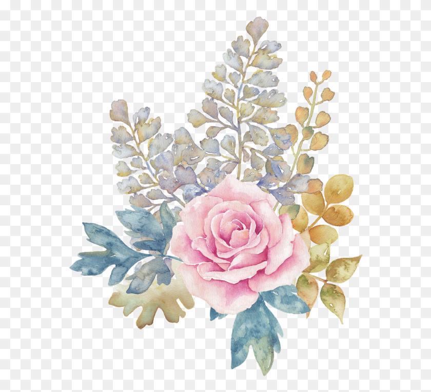 574x704 Синий Цветок Розовый Цветок Акварель, Растение, Цветок, Цветение Hd Png Скачать