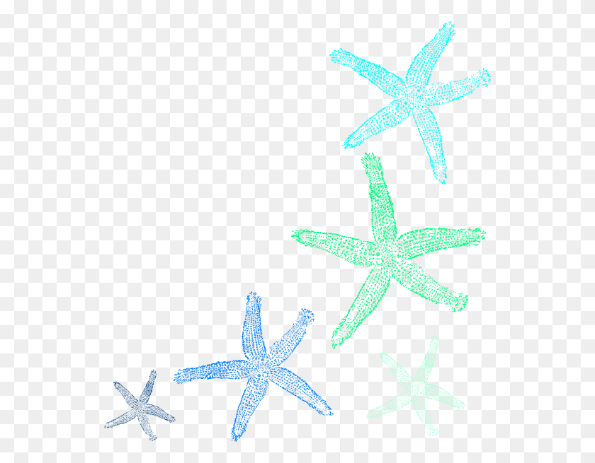 546x595 Blue Free On Dumielauxepices Net Starfish, Беспозвоночные, Морская Жизнь, Животное Png Скачать