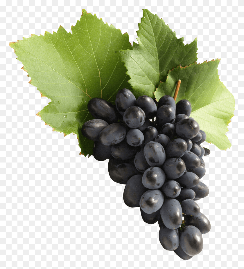 1731x1925 Blue Grape Grapes, Plant, Fruit, Food HD PNG Download