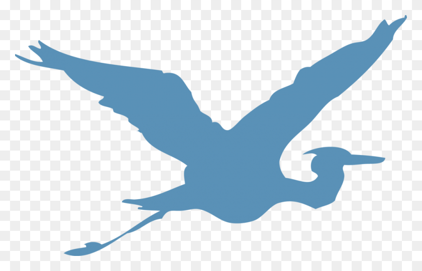 1000x616 Blue Heron, Bird, Animal, Flying HD PNG Download