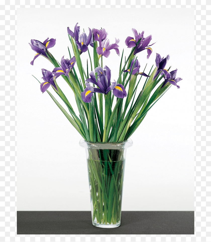 708x901 Blue Iris Loosely Arranged Snow Crocus, Plant, Flower, Blossom HD PNG Download