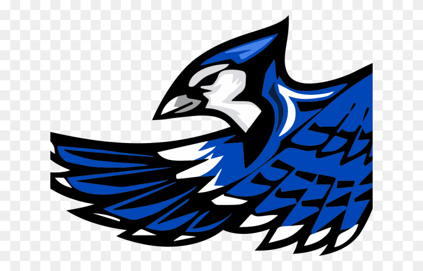 640x480 Blue Jay Clipart Mascot Snook Bluejays, Bird, Animal, Blue Jay HD PNG Download